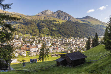 Schweiz, Kanton Graubünden, Davos, Stadt im bewaldeten Tal der Rätischen Alpen im Sommer - WDF06187