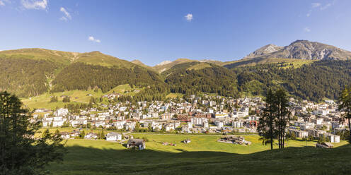 Schweiz, Kanton Graubünden, Davos, Panorama der Stadt im bewaldeten Tal der Rhätischen Alpen im Sommer - WDF06189