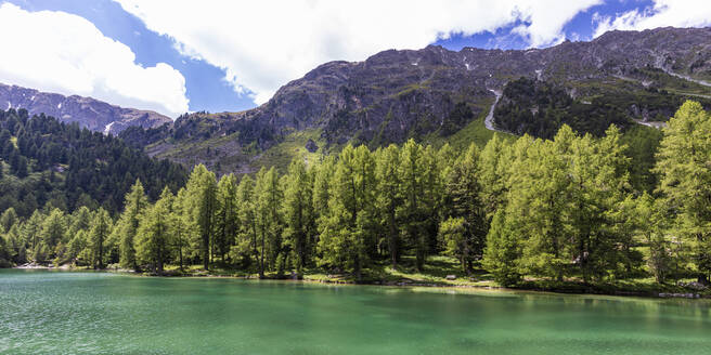 Panorama des bewaldeten Ufers des Lai da Palpuogna im Sommer - WDF06192