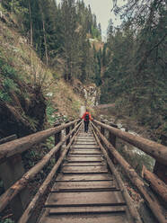 Back view of female tourist admiring stunning view of Alps while walking on hiking path in Dolomites, Italy - ADSF12154