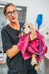 Kind adult woman in black uniform wrapping spaniel dog in towel and drying fur after washing procedure in grooming salon - ADSF12162