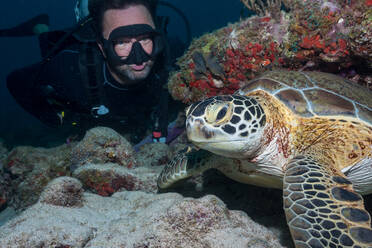 Freitaucher schwimmt unter Wasser mit großer Schildkröte im Ozean - ADSF12229