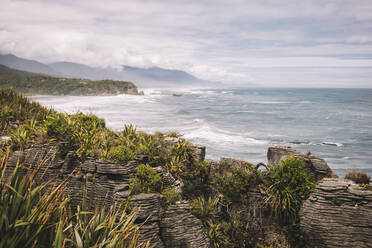 From above of rocky overgrown of plants seashore with waves and cloudy sky in pancake rocks in New Zealand - ADSF12251