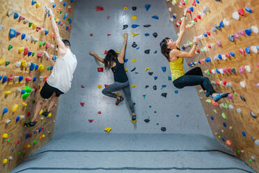 Seitenansicht einer jungen Gruppe starker männlicher und weiblicher Kletterer beim Training an der Wand in einer modernen Turnhalle - ADSF12336