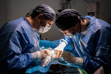 Veterinärchirurgen und Krankenschwestern in Uniform, die sich auf die Operation eines Hundes konzentrieren und spezielle Geräte im Operationssaal eines modernen Krankenhauses verwenden - ADSF12360