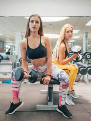 Starke junge Frauen in Sportkleidung machen Bizepscurls mit schweren Hanteln, während sie auf einer Bank im Fitnessstudio sitzen - ADSF12389