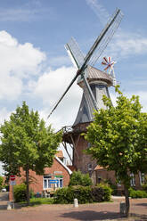 Deutschland, Niedersachsen, Ditzum, Historische Windmühle im Sommer - WIF04311