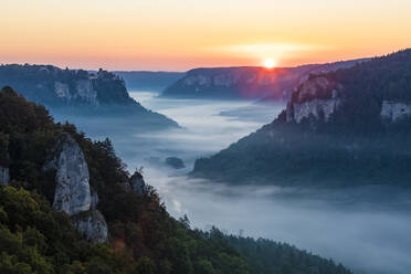 Germany, Baden-Wurttemberg, Scenic view of Danube Valley shrouded in fog at summer sunrise - WDF06241