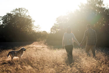 Paar mit Hund auf dem Lande bei Sonnenuntergang - ADSF12538