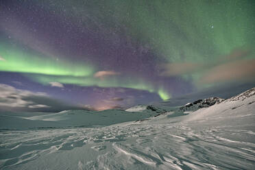 Nordlicht über den Bergen, Finnmark, Norwegen - LOMF01201