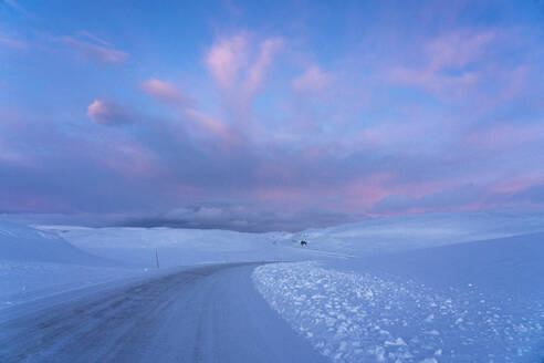 Leere Straße zum Nordkap, Finnmark, Norwegen - LOMF01206