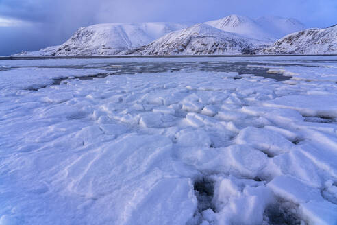 Fjord im Abendlicht, Tana, Varanger-Halbinsel, Finnmark, Norwegen - LOMF01210