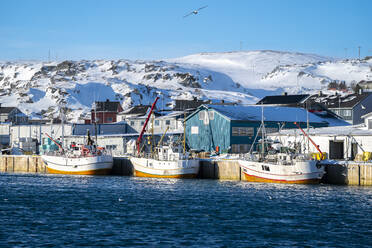 Fischerboote im Hafen, Berlevag, Varanger-Halbinsel, Finnmark, Norwegen - LOMF01213