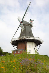 Deutschland, Niedersachsen, Krummhorn, Historische Windmühle in Greetsiel - WIF04314