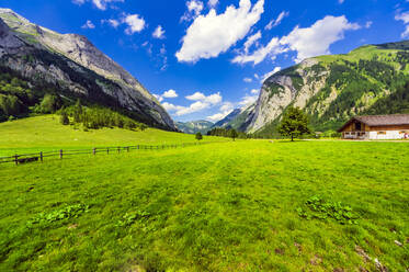 Austria, Tyrol, Vomp, Fenced area in Lower Inn Valley during summer - THAF02806