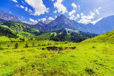 Österreich, Tirol, Vomp, Blick auf das grüne Unterinntal im Sommer - THAF02810