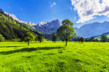 Österreich, Tirol, Vomp, Lebendige grüne Landschaft des Unterinntals im Sommer - THAF02817