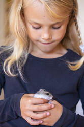 Niedliches kleines Mädchen spielt mit Hamster - JFEF00973