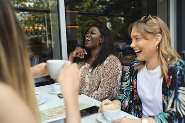 Happy female friends meeting in a cafe - ZEDF03626