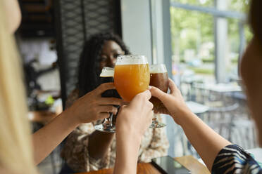 Female friends clinking craft beer glasses in a pub - ZEDF03633