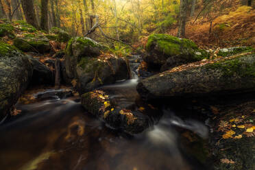 Malerischer Blick auf einen kleinen Wasserfall, der an einem Herbsttag durch den Wald fließt - ADSF12636