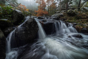 Schöner Blick auf den Bergfluss, der durch den Wald in einem felsigen Tal fließt, an einem bewölkten Tag im Herbst - ADSF12637