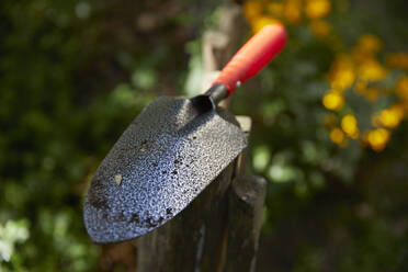 Handkelle auf dem Zaun im Garten liegend - FMKF06311