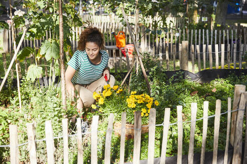 Young brunette woman planting flowers in garden - FMKF06319