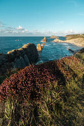 Von oben wunderbare Szenerie von rosa blühenden Blumen an der felsigen Küste der Costa Brava - ADSF12685