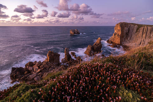 Von oben wunderschöne Landschaft mit violettem Himmel und rosa blühenden Blumen am felsigen Meeresufer der Costa Brava - ADSF12687