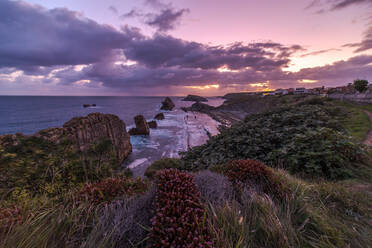 Von oben wunderschöne Landschaft mit violettem Himmel und rosa blühenden Blumen am felsigen Meeresufer der Costa Brava - ADSF12691