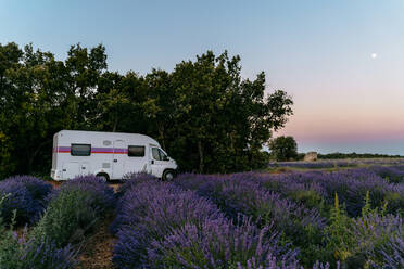 Wohnmobil bei Sonnenaufgang neben einem Lavendelfeld geparkt - GEMF04100