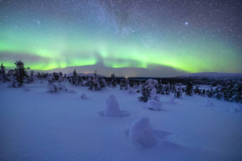 Nordlicht über schneebedeckter Landschaft in der Abenddämmerung - LOMF01216