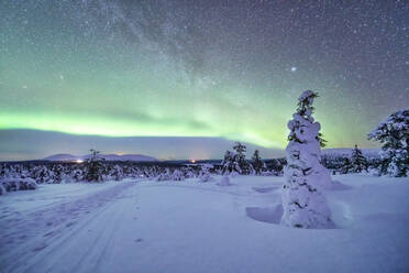 Nordlicht über schneebedeckter Landschaft in der Abenddämmerung - LOMF01217