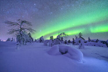 Northern lights over snow-covered landscape at dusk - LOMF01218