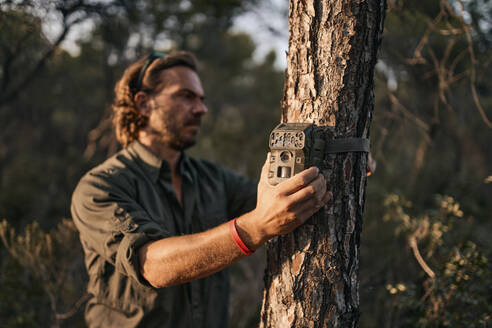 Mature man holding trail camera on tree trunk while standing in forest - SASF00003