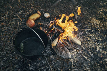 Kochen von Speisen über den Flammen eines Lagerfeuers - SASF00011