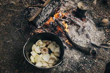 Kochen von Speisen über den Flammen eines Lagerfeuers - SASF00013