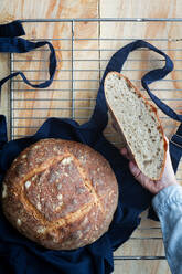 Draufsicht auf anonyme Ernte Hand hält Scheibe Vorspeise Scheibe hausgemachten Sauerteig Brot und Laib Brot auf Schürze aus dem Ofen - ADSF13092
