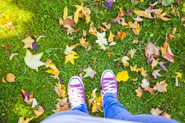 Füße einer Frau, die inmitten von Herbstblättern auf einer Wiese im Park steht - FLMF00280