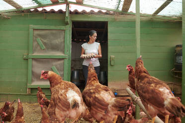 Female farmer in hen house collecting eggs of birds on farm - ADSF13369