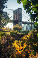 Majestic scenery of Brooklyn bridge over river in front of park on sunny day in New York - ADSF13390
