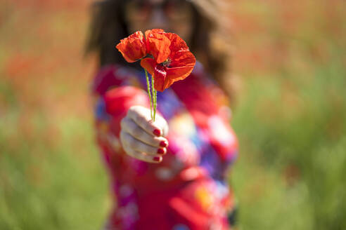 Unscharfe Frau gibt Blume in die Kamera - ADSF13458