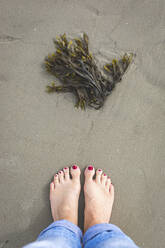 Bare feet of woman standing in front of seaweeds lying on beach sand - ASCF01422