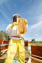 Von unten: männlicher Imker in weißer Arbeitsschutzkleidung, der eine Wabe mit Bienen hält, während er im Bienenstock Honig sammelt - ADSF13514