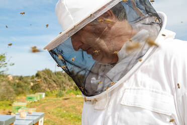 Älterer männlicher Imker in weißem Schutzanzug und Maske, der nach unten schaut, während er in einem Bienenstock steht, in dem Bienen herumfliegen, an einem Sommertag - ADSF13516