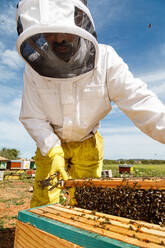Männlicher Imker in weißer Arbeitsschutzkleidung, der eine Wabe mit Bienen hält, während er im Bienenstock Honig sammelt - ADSF13519