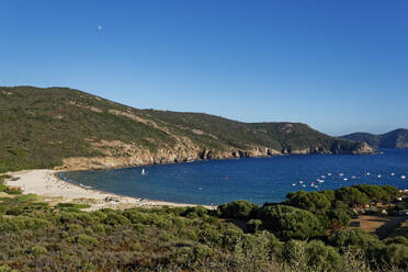 Frankreich, Corse-du-Sud, Piana, Blick auf den Strand von Arone im Sommer - UMF00996