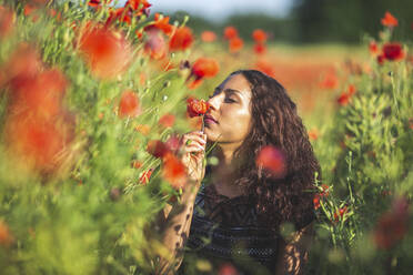 Junge Frau riecht an einer Mohnblume in einem Mohnfeld - ASCF01431
