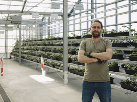 Portrait of a confident man in a greenhouse stock photo